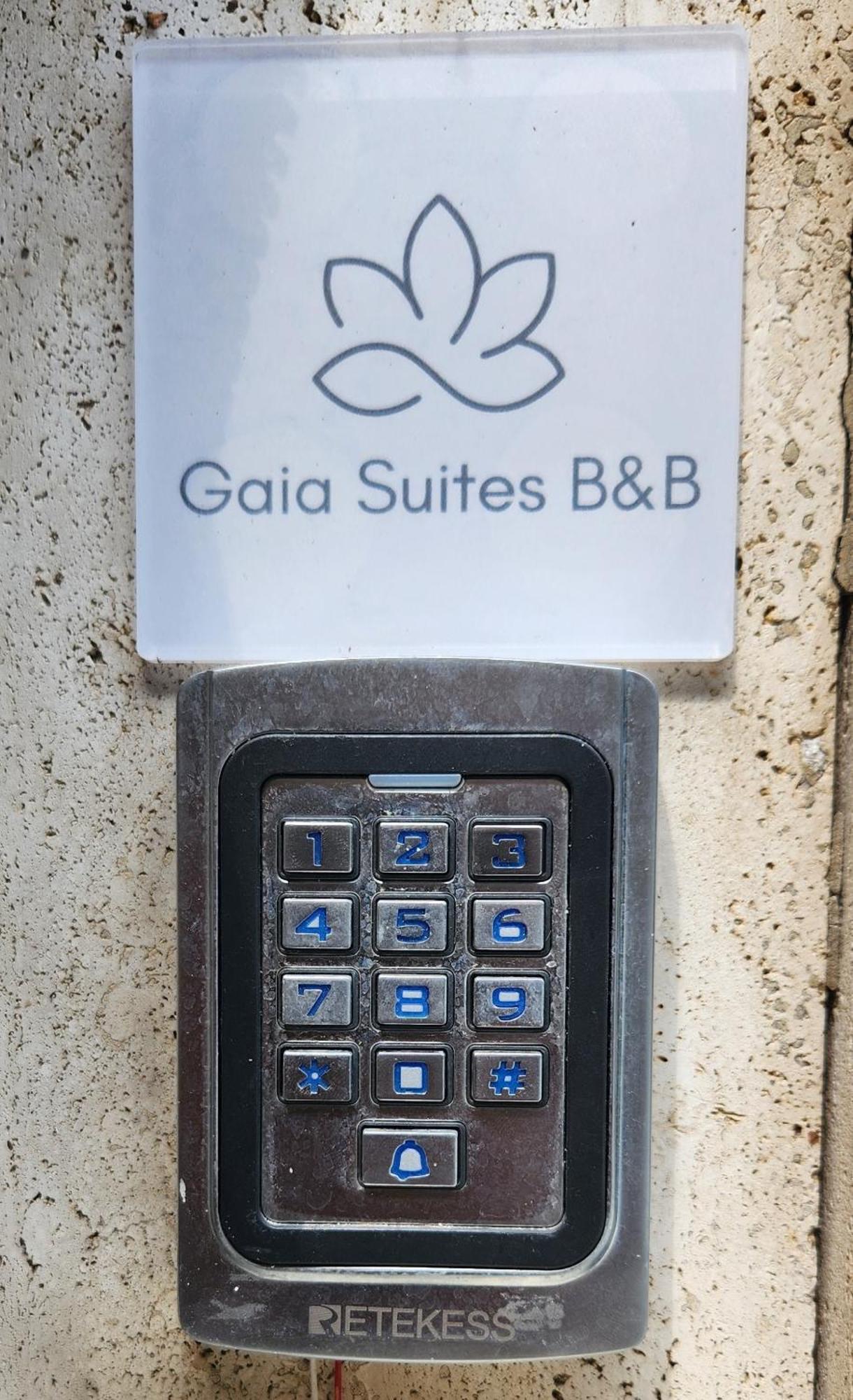 Gaia Suites - A Due Passi Dal Centro - Parcheggio Privato Turin Ngoại thất bức ảnh